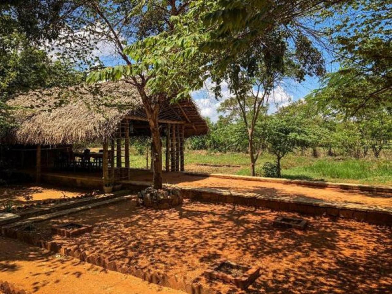 Castle Rock Sigiriya Hotel Kibissa Exterior foto